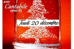 2018-12-affiche-concert-Francois-Viete-Cantabile-Opus-85
