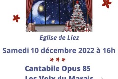 Affiche-de-Liez-copie